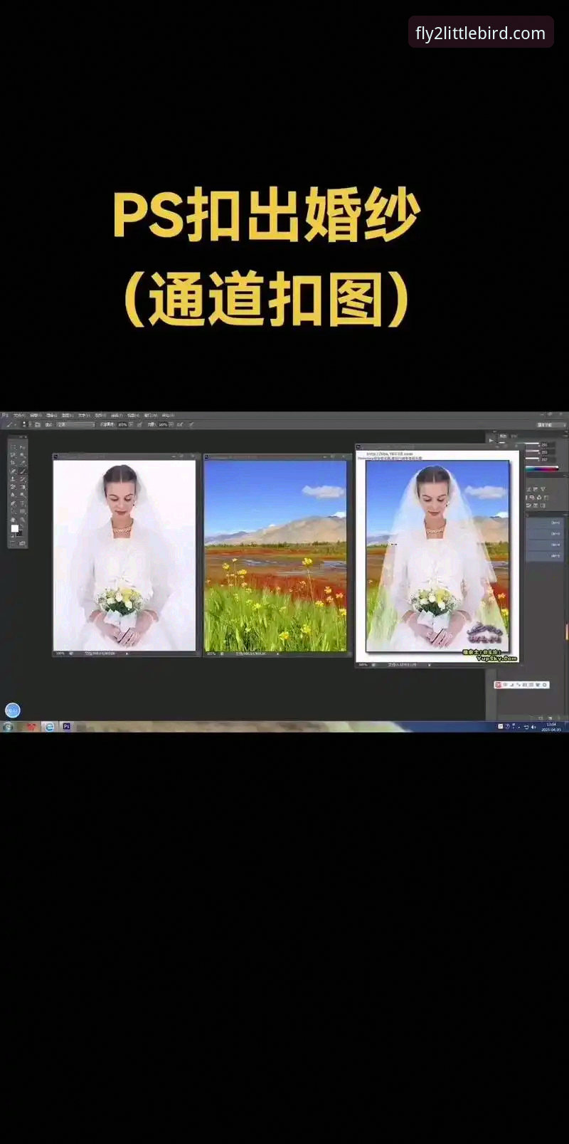 如何通过小鸟下载通道教程完成官方客户端安装？