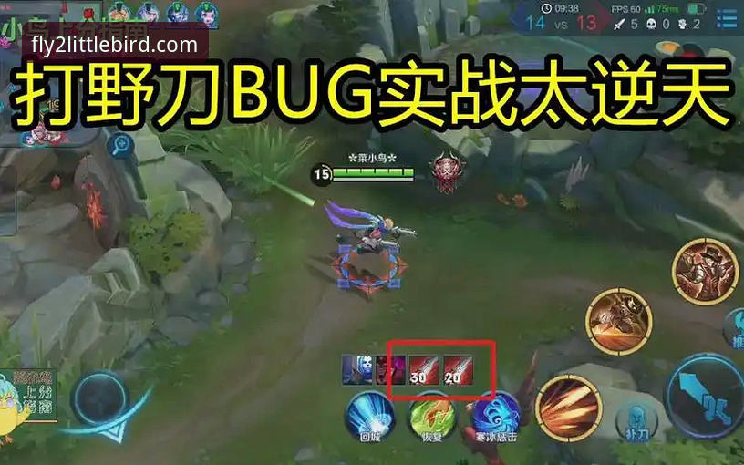 揭秘小鸟平台登录背后的真相：一站式娱乐资讯的实战指南