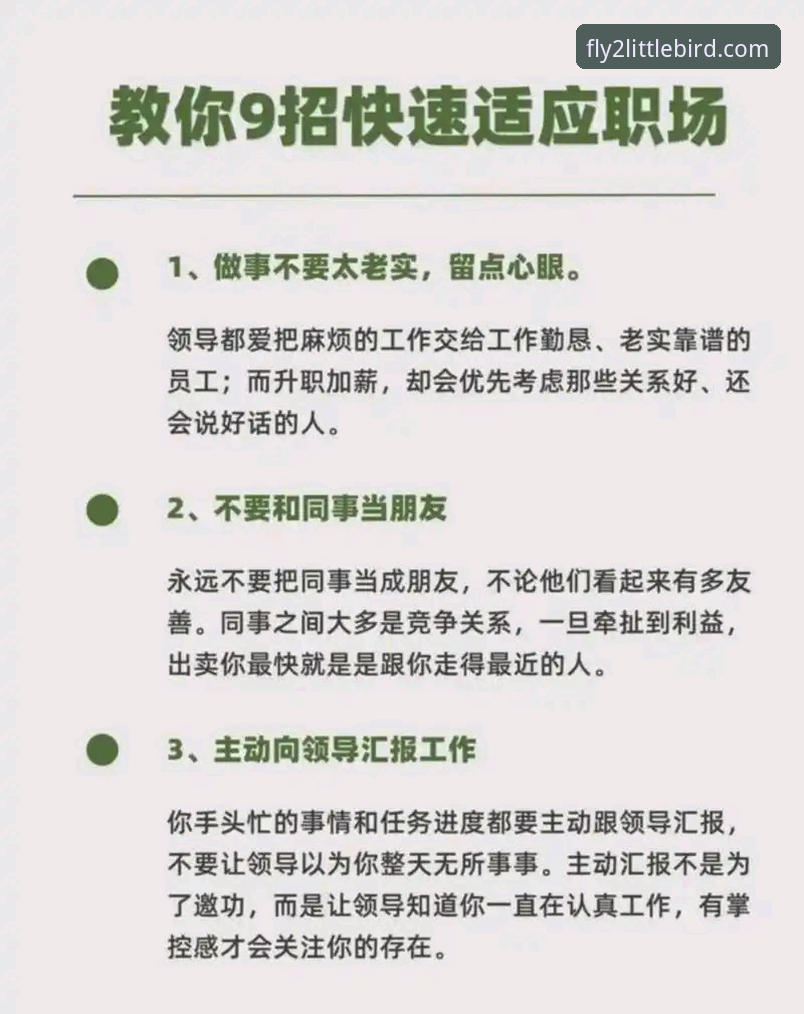 小鸟专业稳定官方下载真的靠谱吗？如何选择正规入口？