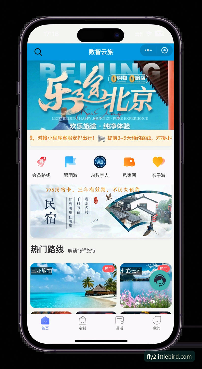 小鸟娱乐平台手机版登录与使用完整指南：从下载到实战