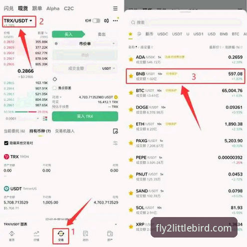 2026小鸟官网入口使用教程：从登录到全功能体验的操作指南